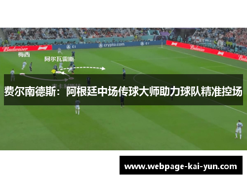 费尔南德斯：阿根廷中场传球大师助力球队精准控场